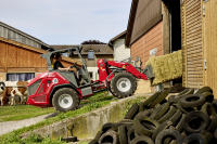 WM image 2060 FSD Ballenspies 12A0744