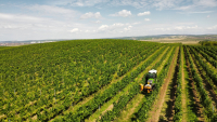 dji fly 20250730 111006 475 1753866738758 photo optimized