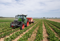 Fendt e100 Vario