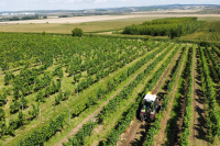 fendt-e107-vario-29