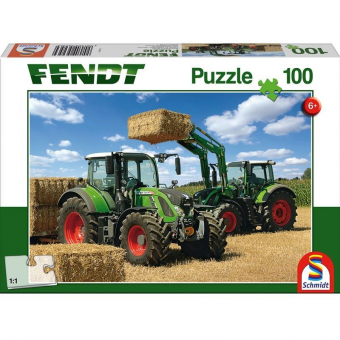 Puzzle 100 kousků