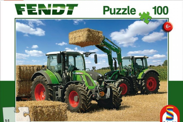 x991017198000 100-teile-puzzle